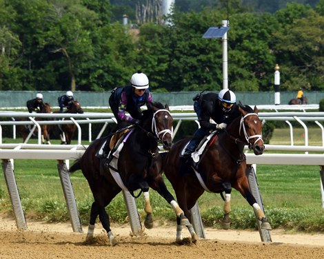 Overtook inside of Bourbonic - Belmont Park - May 28, 2021