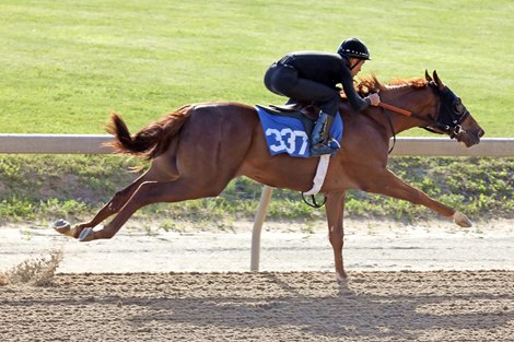 Hip 337  breezes 1/8th in 10 flat, 2012 Fasig-Tipton Midlantic 2 Year Olds in Training Sale