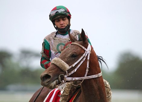 It&#39;s a Gamble #1 with Jose Baez riding won the $100,000 Jersey Derby at Monmouth Park Racetrack in Oceanport, NJ on Opening Day 5/28/21. 