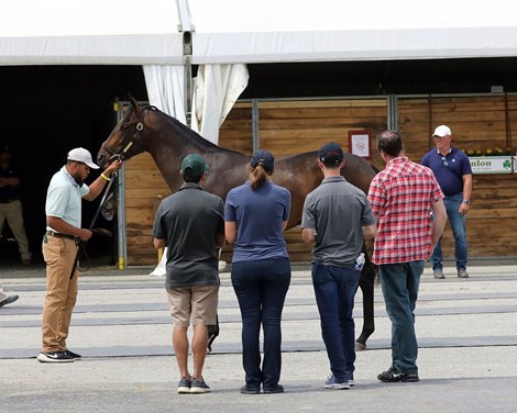 Scenics, 2021 Fasig-Tipton Midlantic 2 Y-O-in Training Sale