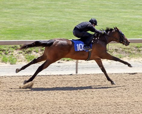 Hip 109  breezes 1/8th in 10 flat, 2021 Fasig-Tipton Midlantic 2 Year Olds in Training Sale