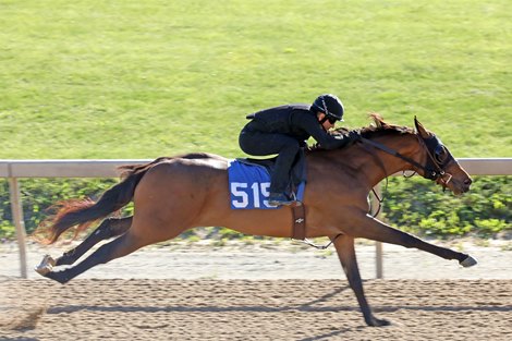 Hip 515  breezes 1/8th in 10 flat, 2012 Fasig-Tipton Midlantic 2 Year Olds in Training Sale