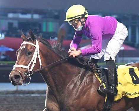 Inject wins 2021 Goldfinch Stakes at Prairie Meadows