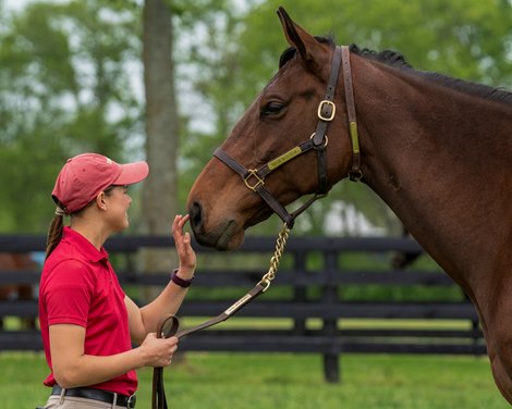  Mongolian Changa at Taylor Made Farm, 5-2-21,  Mathea Kelley-Bloodhorse<br>
