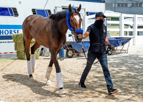 Beautiful Gift - Pimlico, May 10, 2021