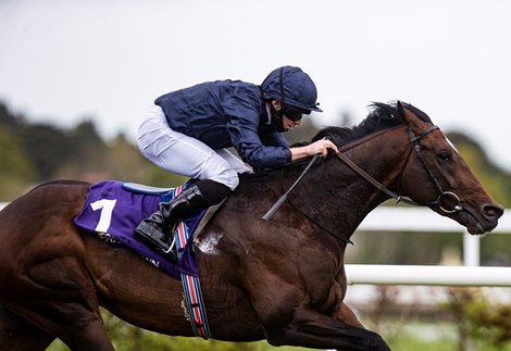 Bolshoi Ballet and Ryan Moore wins the Derrinstown Stud Derby Trial (Group 3) .<br>
Leopardstown Racecourse.<br>
Photo: Patrick McCann/Racing Post<br>
09.05.2021