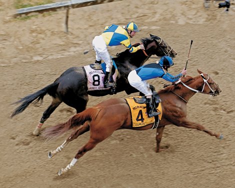 With a furious late rally in deep stretch, Curlin and jockey Robby Albarado nail Derby winner Street Sense on the line to win the Preakness Stakes by a head.