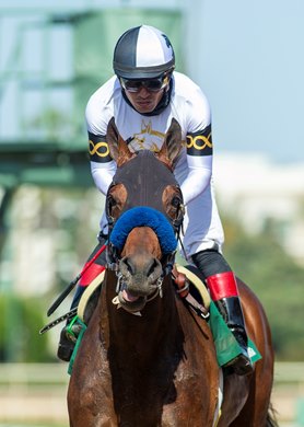 Hudson Ridge and jockey Abel Cedillo win the $100,000 Cinema Stakes Sunday, May 23, 2021 at Santa Anita Park, Arcadia, CA.  The 3-year-old colt it owned by Double L Racing and Baffert, and trained by Bob Baffert.<br><br />
Benoit Photo