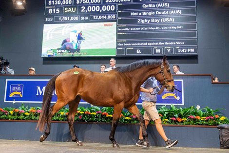 Magic Millions 2021 Gold Coast National Broodmare Sale, Lot 815