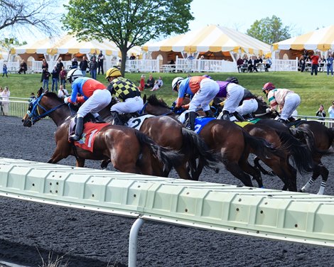 Scene - Arlington Park - 050921