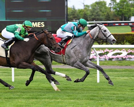Harvey's Lil Goil wins the 2021 Beaugay Stakes at Belmont Park Harvey's Lil Goil wins the 2021 Beaugay Stakes at Belmont Park