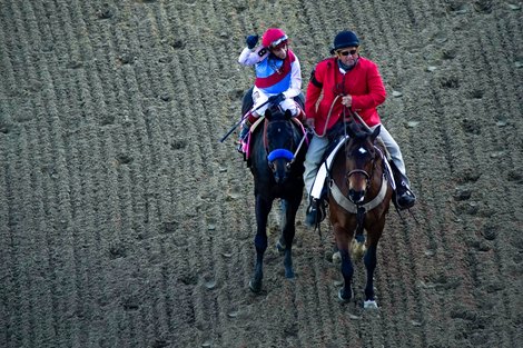 Medina Spirit with John R. Velazquez wins the Kentucky Derby (G1) at Churchill Downs in Louisville, Kentucky on May 1, 2021.