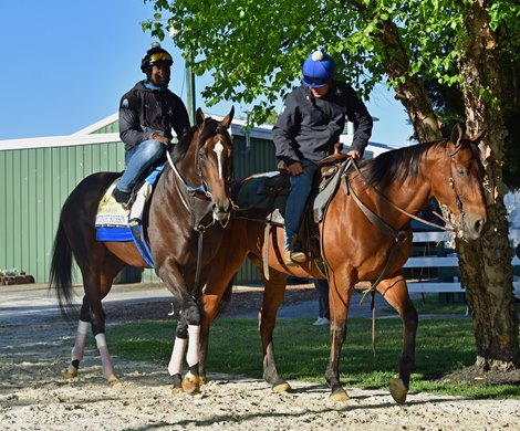 Midnight Bourbon heads to the track at Pimlico, 5/13/21