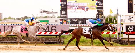 American Patrol wins a maiden special weight May 7, 2021 at Pimlico