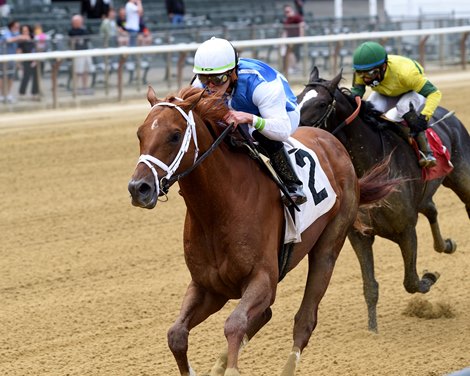 Happy Saver - AOC, Belmont Park, May 28, 2021