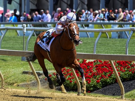 Mighty Mischief with jockey Ricardo Santana Jr. aboard wins the 12th running of The Chick Lang (G3) at Pimlico Race Course Saturday  May 15, 2021 in Baltimore, MD. Photo  by Skip Dickstein