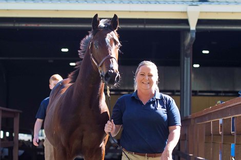 Lot 109,  2021 Magic Millions Gold Coast National Weanling Sale