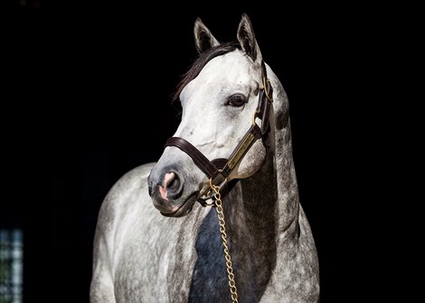 Mohaymen at Shadwell 5.25.18