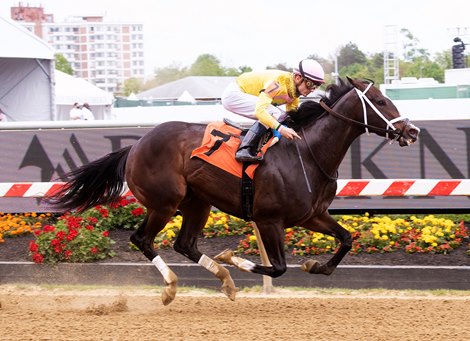 Spice Is Nice wins the 2021 Allaire DuPont Distaff Match Series Stakes