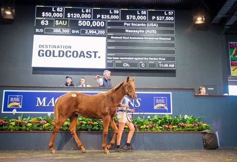 Lot 63, 2021 Magic Millions Gold Coast National Weanling Sale