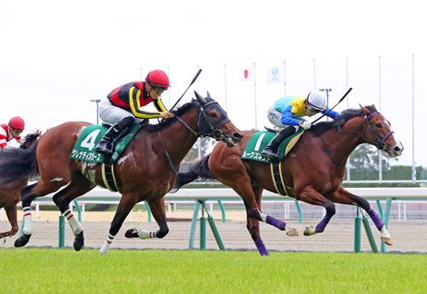 Rooks Nest wins the 2021 Chunichi Sports Sho Falcon Stakes