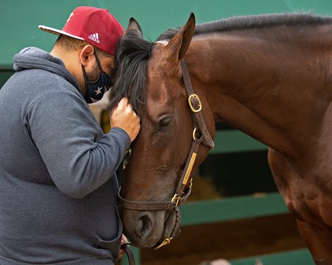 Groom Leubes Rodriguez with Risk Taking<br><br />
Horses during Preakness week in Baltimore, MD, on May 12, 2021. 