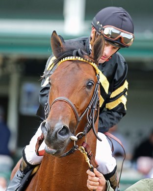 Cellist wins the Audubon Stakes Saturday, May 29, 2021 at Churchill Downs