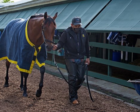 Concert Tour with Jimmy Barnes<br><br />
Horses during Preakness week in Baltimore, MD, on May 12, 2021. 