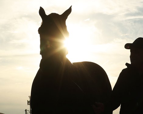 Medina Spirit - Kentucky Derby Winner - Morning - Churchill Downs - 05-02-21