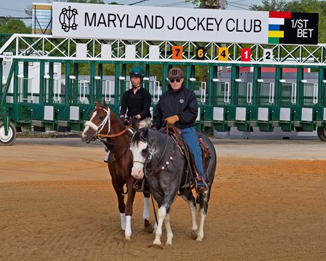 Ram with Jade Cunningham and D. Wayne Lukas on pony<br>
Horses during Preakness week in Baltimore, MD, on May 12, 2021. Ram with Jade Cunningham and D. Wayne Lukas on pony<br>
Horses during Preakness week in Baltimore, MD, on May 12, 2021.