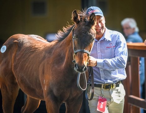 Lot 73, 2021 Magic Millions Gold Coast National Weanling Sale