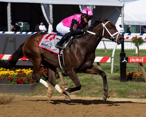 Last Judgment with Jose Ortiz wins the Pimlico Special (G3) at Pimlico.<br>
Racing on Black-eyed Susan day during Preakness week in Baltimore, MD, on May 14, 2021. 
