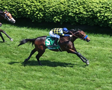 DU JOUR<br>
The American Turf G2 - 30th Running<br>
Churchill Downs  Louisville, KY<br>
May 1, 2021    <br>
Race #09<br>
Purse $500,000<br>
1-1/16 Miles-Turf  1:42.49<br>
Natalie J. Baffert & Debbie Lanni, Owners<br>
Bob Baffert, Trainer<br>
Flavien Prat, Jockey<br>
Lucky Law (2nd)<br>
Winfromwithin (3rd)<br>
$13.20 $7.40 $5.40<br>
Order of Finish - 5, 12, 2, 11
