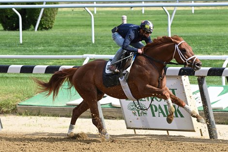 Known Agenda - Belmont Park - May 28, 2021