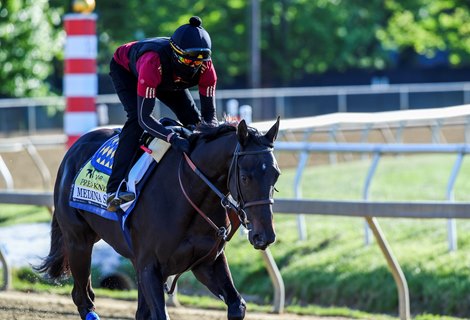 Preakness entrant Medina Spirit on track for morning exercise at the Pimlico Race Track Thursday May 13, 2021 in Baltimore, MD. 