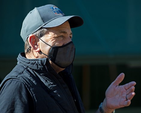 Jimmy Barnes<br><br />
Horses during Preakness week in Baltimore, MD, on May 13, 2021. 