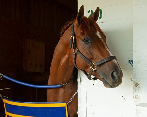 Triple Tap<br><br />
Kentucky Derby and Oaks horses, people and scenes at Churchill Downs in Louisville, Ky., on May 2, 2021. 