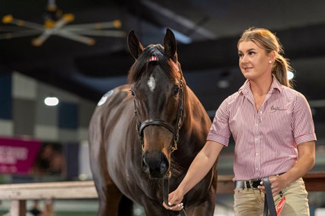 Lot 1547, 2021 Magic Millions Gold Coast National Yearling Sale