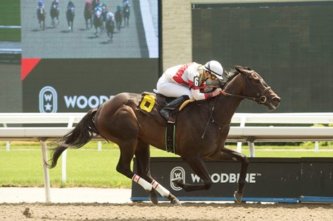 Lorena - OCL, Woodbine, June 19, 2021<br><br />
R1Lorena Jockey Gary Boulanger