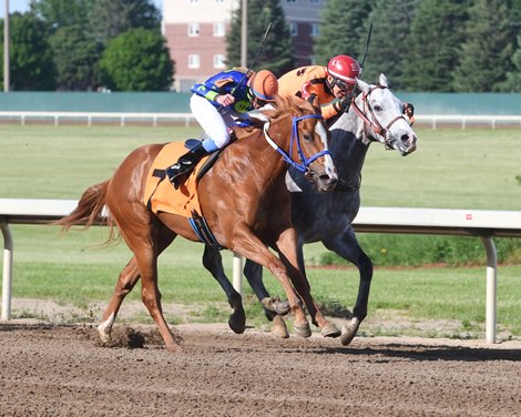 Whistlewhileyoumow (inside) and Alia Max dead heat to win a maiden special weight May 31, 2021 at Prairie Meadows