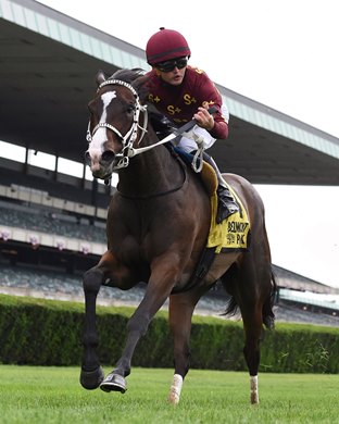 Change of Control wins the 2021 Intercontinental Stakes at Belmont Park                  