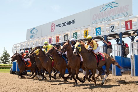 Start of the first race of the 2021 Season at Woodbine #1, Northern Ruby under jockey Keveh Nicholls ,(winner #4 yellow silks middle ) Five Days in May jockey Daisuke Fukumoto
