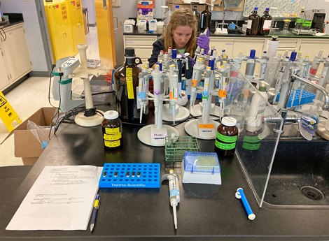 June 11, 2021: UK Equine Analytical Chemistry Laboratory<br><br />
Senior lab tech Hannah Rolle testing a sample