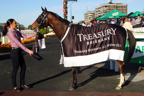 Converge wins the 2021 J.J. Atkins Stakes at Eagle Farm<br><br />
ridden by Tim Clark and trained by Gai Waterhouse and Adrian Bott