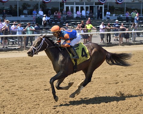 Wit -Maiden Win, Belmont Park, June 5, 2021