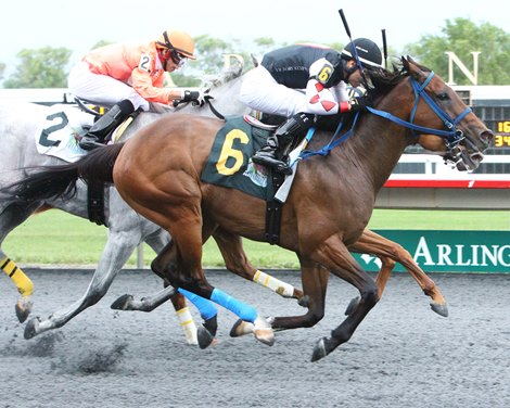 Guest Suite wins 2021 Hanshin Cup Stakes at Arlington Park