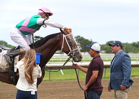 Trainer Brad Cox watches as Jockey Florent Gerooux applies water to the head of Mandaloun #2 after a hard fought victory over Weyburn and Dylan Davis in the $150,000 Pegasus Stakes Monmouth Park Racetrack in Oceanport, NJ on Sunday June 13, 2021.  Photo By Bill Denver/EQUI-PHOTO