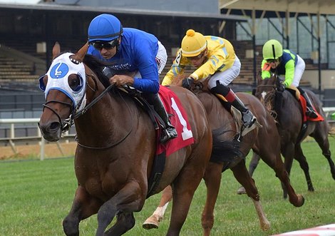 Pixelate wins 2021 Prince George&#39;s County Stakes at Pimlico