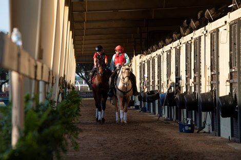 Anglea. Woods.    @ OBS. In Ocala. Fl .  June 7 2021<br><br />
  &#169;Joe DiOrio/Winning Images Photography