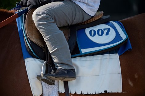 A Bond trainee leaves  the main track at the Saratoga Race Course  Monday June 28, 2021 in Saratoga Springs, N.Y. . Photo by Skip Dickstein